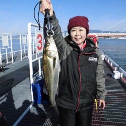 尼崎市立魚つり公園 釣果