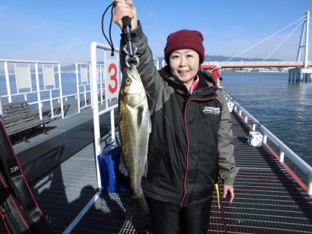尼崎市立魚つり公園 釣果