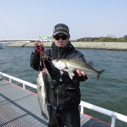 尼崎市立魚つり公園 釣果