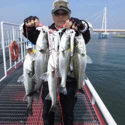 尼崎市立魚つり公園 釣果
