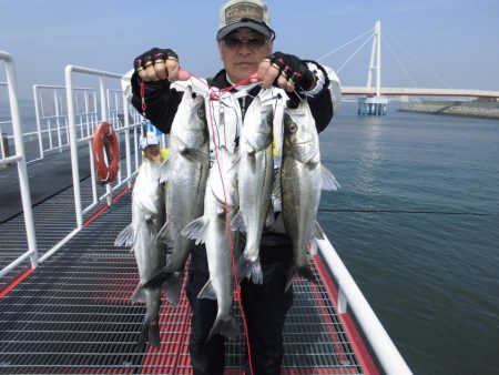 尼崎市立魚つり公園 釣果