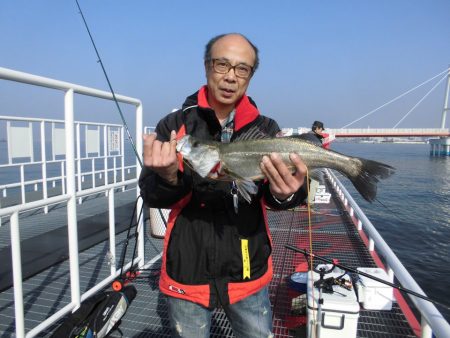 尼崎市立魚つり公園 釣果