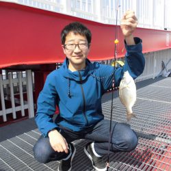 尼崎市立魚つり公園 釣果