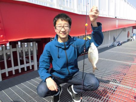 尼崎市立魚つり公園 釣果