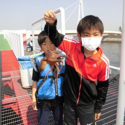 尼崎市立魚つり公園 釣果