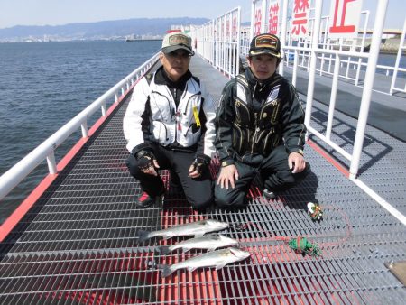 尼崎市立魚つり公園 釣果