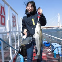 尼崎市立魚つり公園 釣果