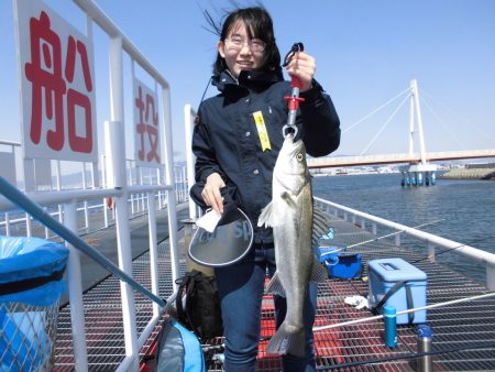 尼崎市立魚つり公園 釣果