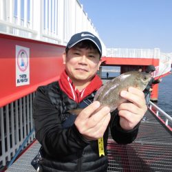 尼崎市立魚つり公園 釣果