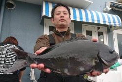 伊豆下田フィッシング 釣果