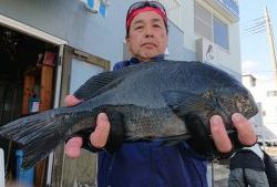 伊豆下田フィッシング 釣果