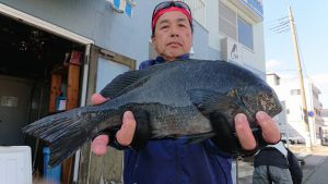 伊豆下田フィッシング 釣果