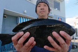伊豆下田フィッシング 釣果