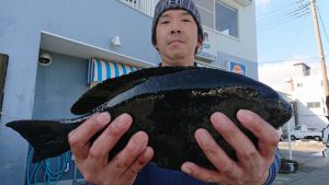 伊豆下田フィッシング 釣果