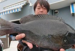 伊豆下田フィッシング 釣果