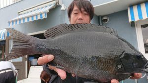 伊豆下田フィッシング 釣果