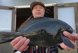 伊豆下田フィッシング 釣果