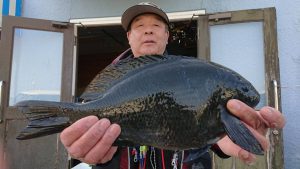 伊豆下田フィッシング 釣果