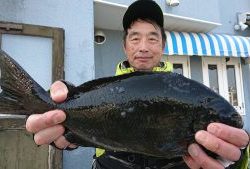 伊豆下田フィッシング 釣果
