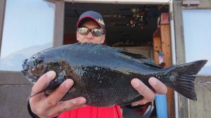 伊豆下田フィッシング 釣果