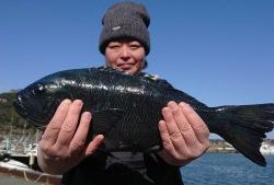 伊豆下田フィッシング 釣果