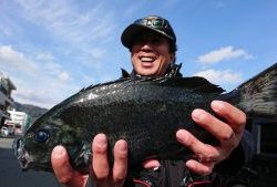 伊豆下田フィッシング 釣果