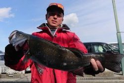 伊豆下田フィッシング 釣果