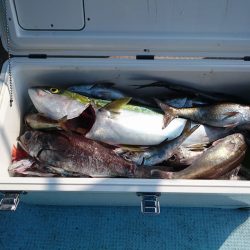 結愛丸 釣果