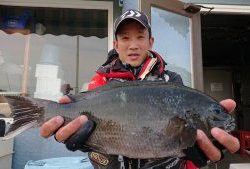 伊豆下田フィッシング 釣果