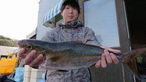 伊豆下田フィッシング 釣果