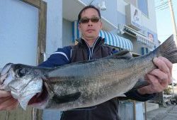 伊豆下田フィッシング 釣果