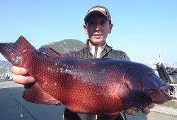 伊豆下田フィッシング 釣果