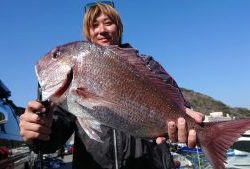 伊豆下田フィッシング 釣果