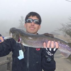 フィッシングレイクたかみや 釣果