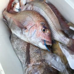 寿裕 （YOSHIHIRO） 釣果