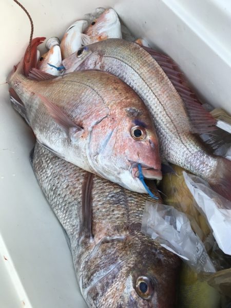 寿裕 （YOSHIHIRO） 釣果