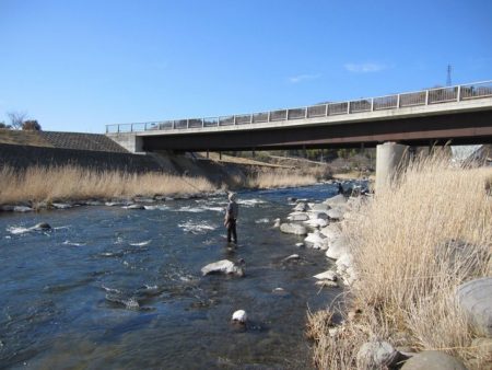 狩野川（狩野川漁業協同組合） 釣果