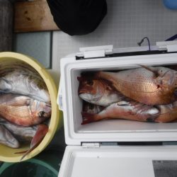 遊漁船 幸友丸 釣果