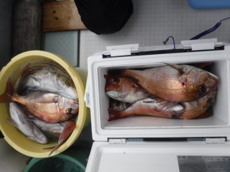 遊漁船 幸友丸 釣果