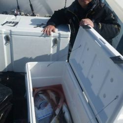 第五慶門丸 釣果