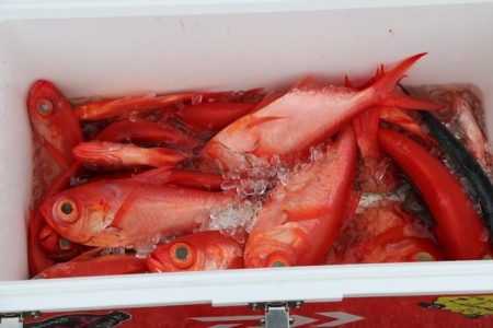 へいみつ丸 釣果