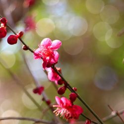 小菅トラウトガーデン 釣果