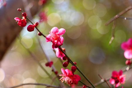小菅トラウトガーデン 釣果
