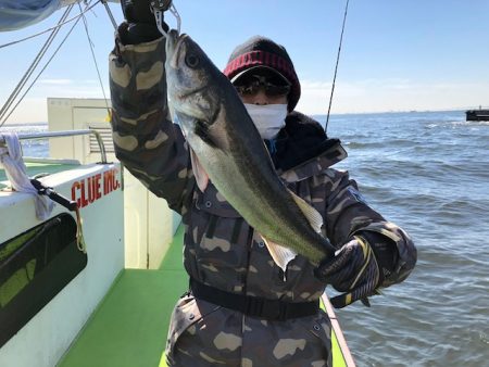 深川　吉野屋 釣果