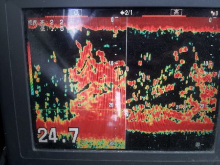 深川 吉野屋 釣果