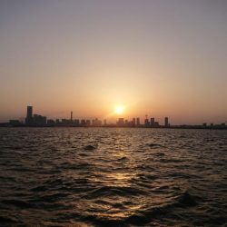 深川 吉野屋 釣果