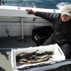 第二大福丸 釣果