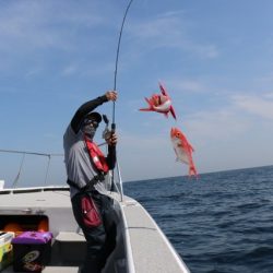 へいみつ丸 釣果