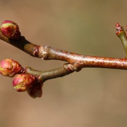小菅トラウトガーデン 釣果