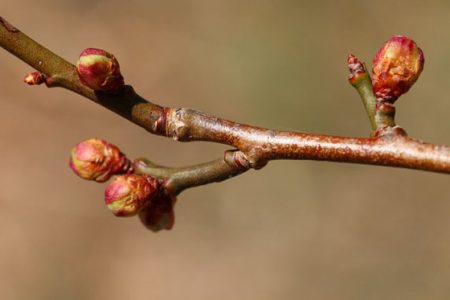 小菅トラウトガーデン 釣果